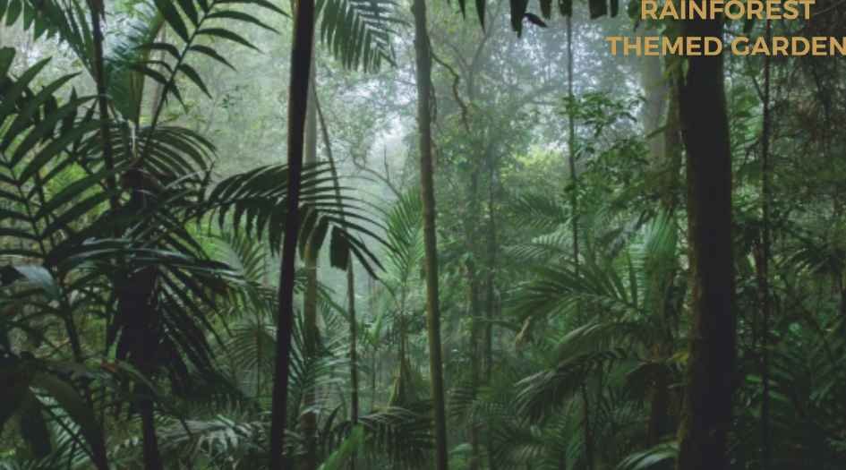 Kunal-The-Canary-rainforest-garden